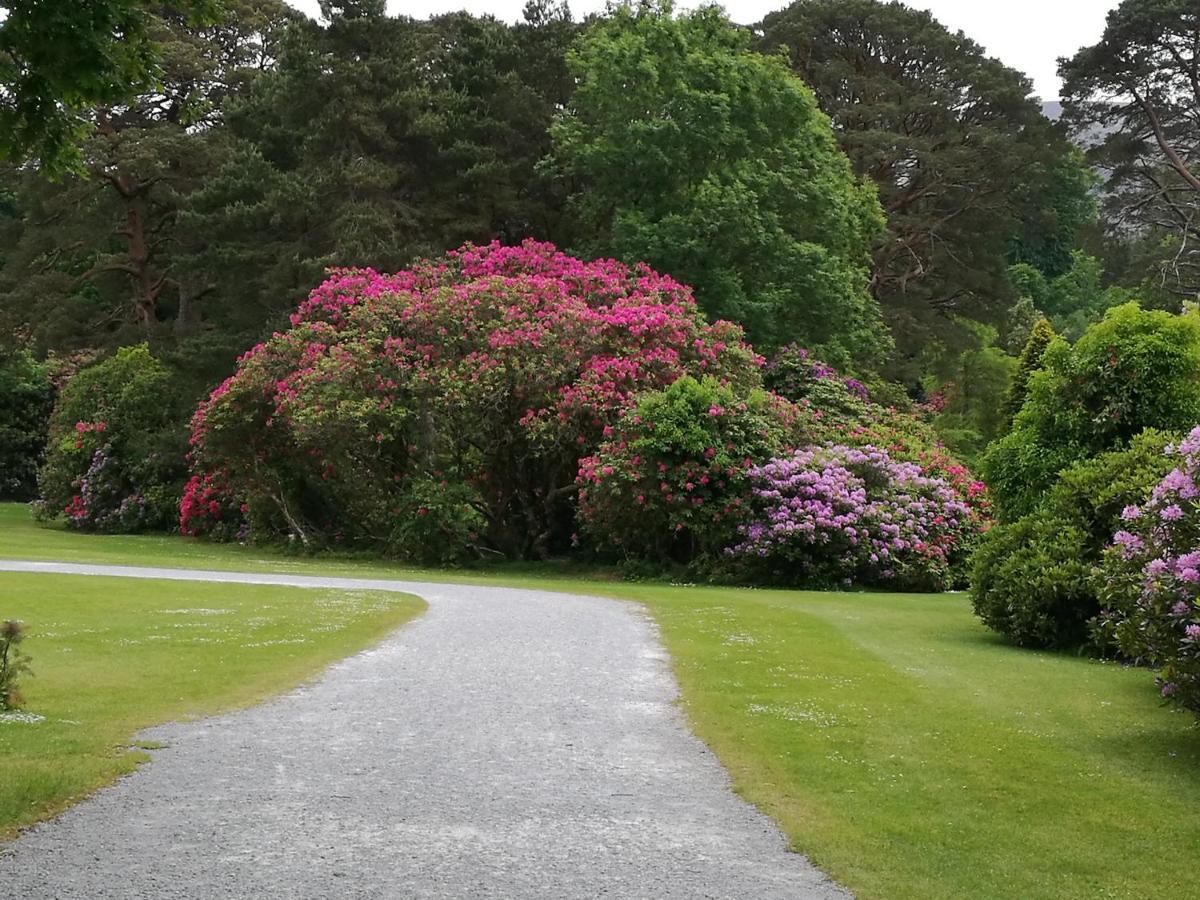 Watersedge Seaviews Hotell Kenmare Exteriör bild
