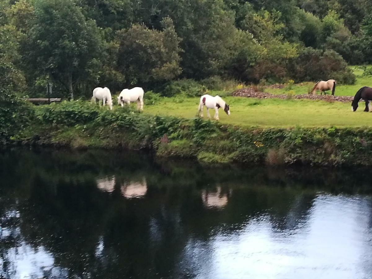Watersedge Seaviews Hotell Kenmare Exteriör bild